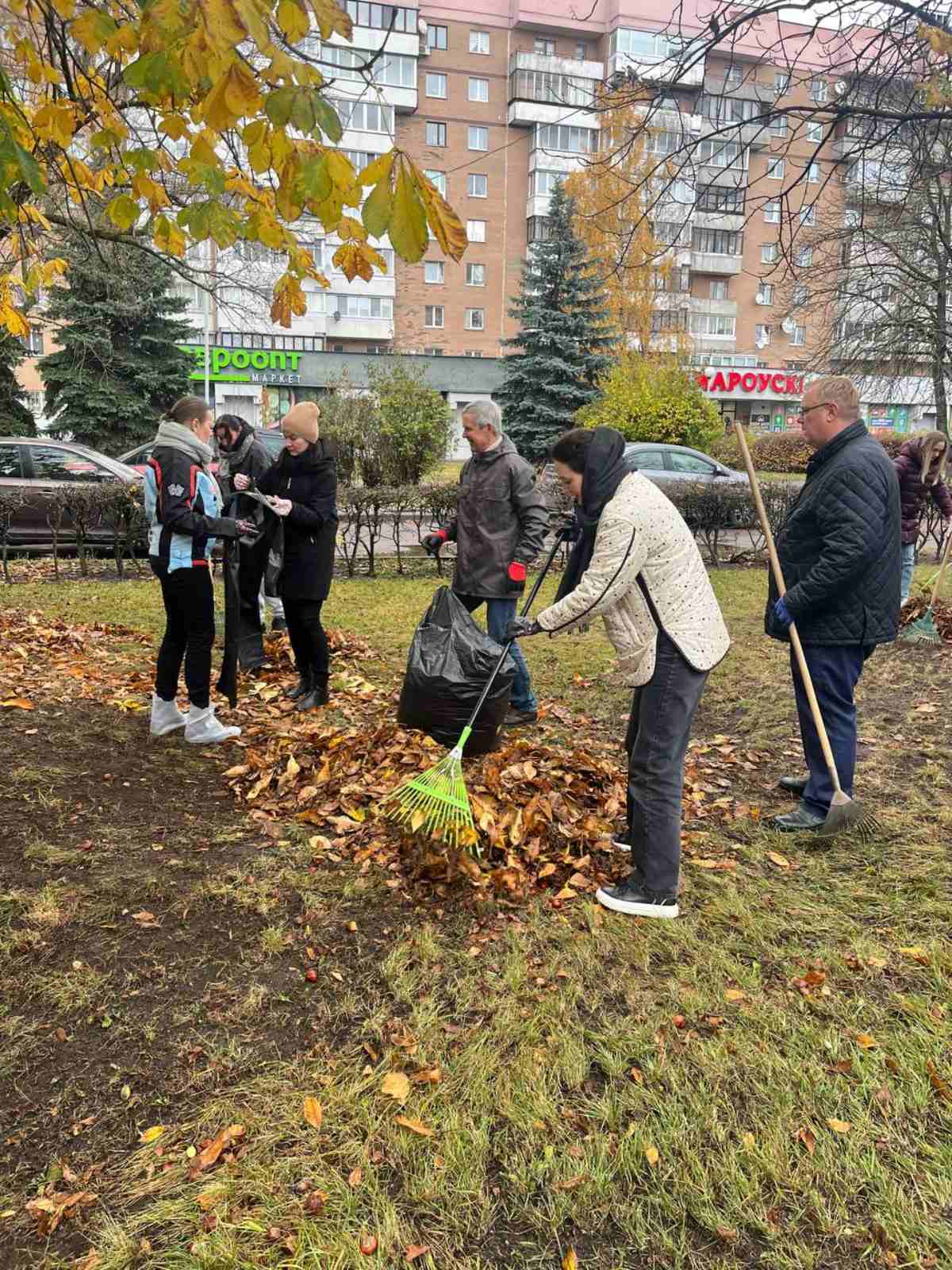 Благоустройство территории