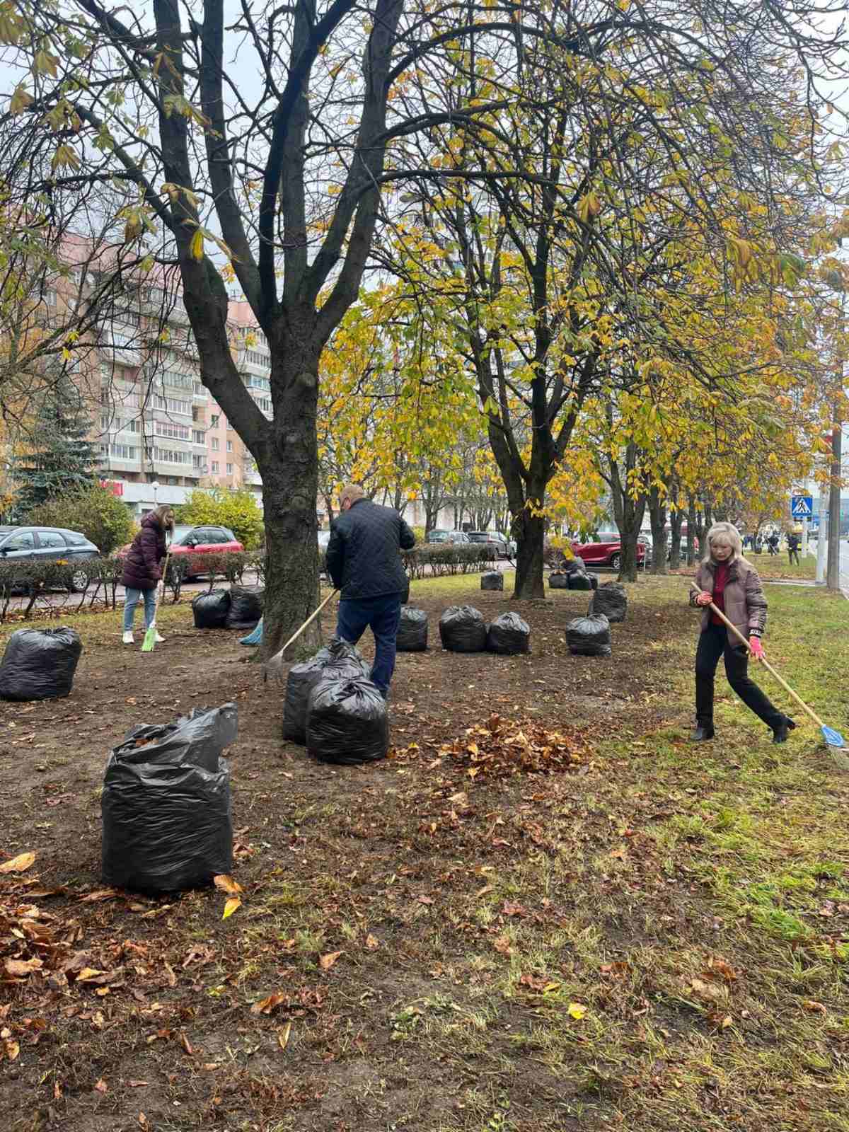 Благоустройство территории