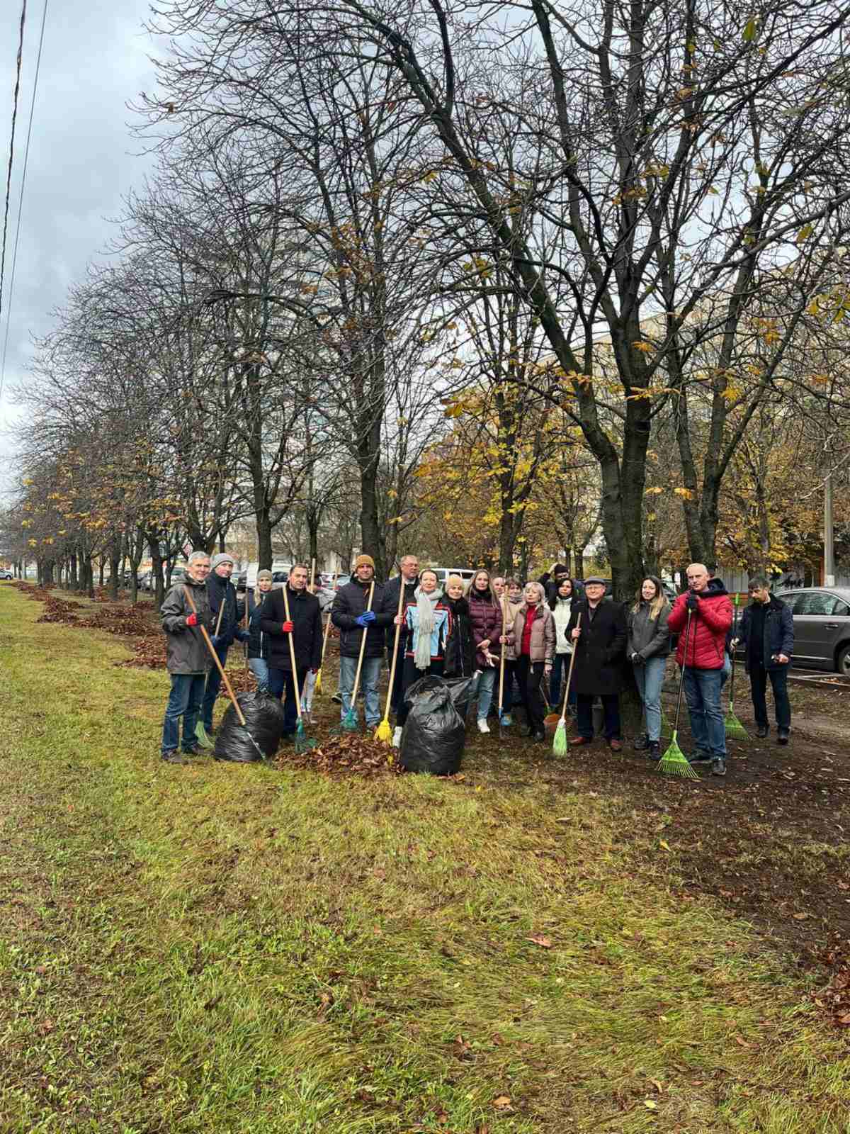 Благоустройство территории