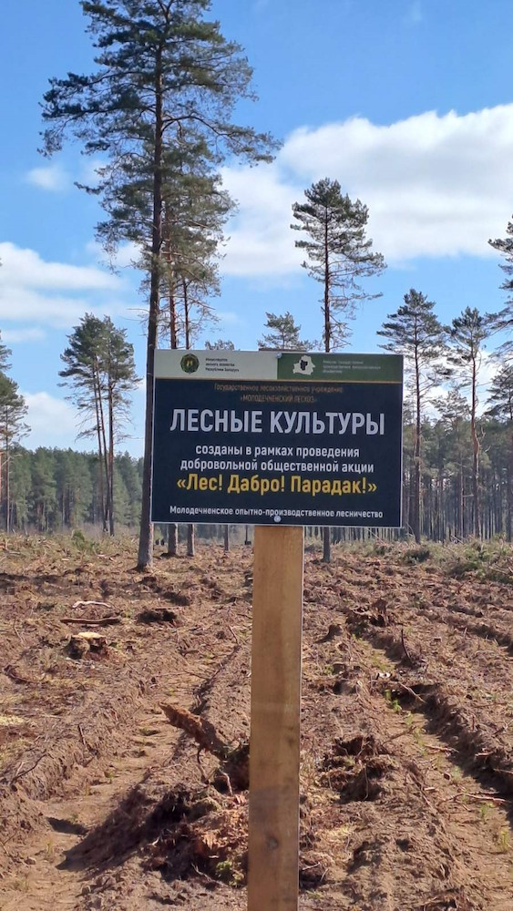 «Лес! Добро! Порядок!»