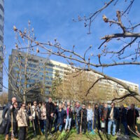 Коллектив ОАО «НИИ Стройэкономика» принял участие в традиционном республиканском  субботнике, который предусмотрен постановлением Совета Министров Республики Беларусь от 31.03.2026 № 150.