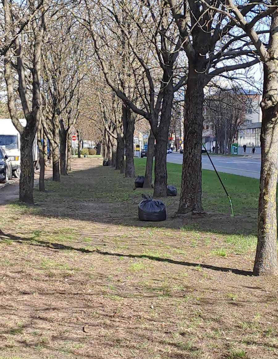 Республиканский субботник 2026