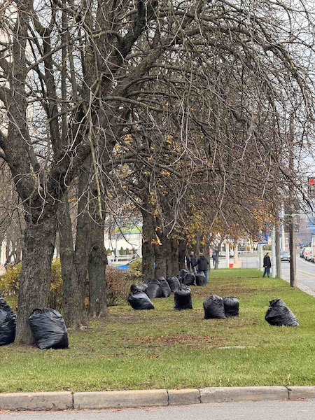 Месячник по санитарной очистке и благоустройству территории Советского района г. Минска